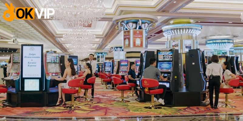 Dịch vụ sòng bài, casino chuyên nghiệp